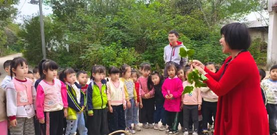 小小农夫体验记——幼儿园萌娃田间挖红薯乐翻天